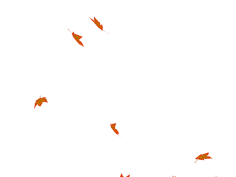 animated falling leaves background gif