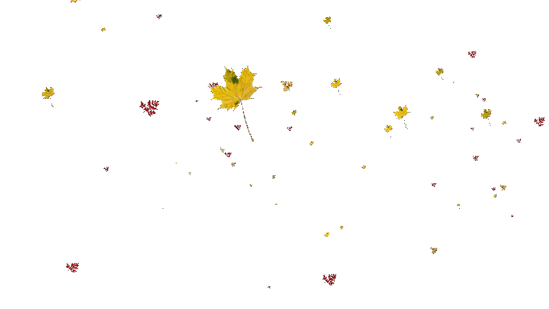 animated falling leaves background gif