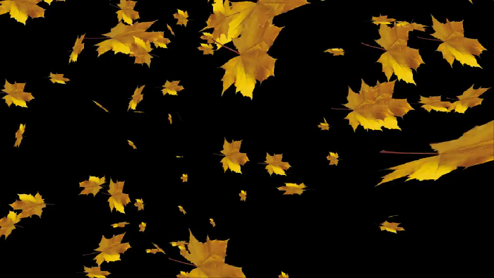 animated falling leaves background gif