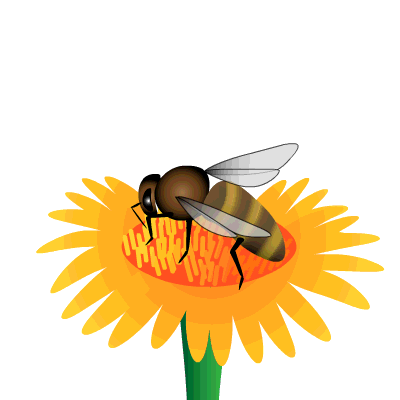 animated bees learn about nature
