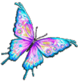 animated butterfly clip art clipart best