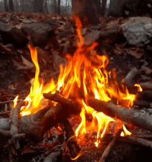 animated fire flames gifs tenor