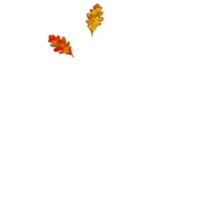 automne feuilles gif falling leaves gif autumn picmix
