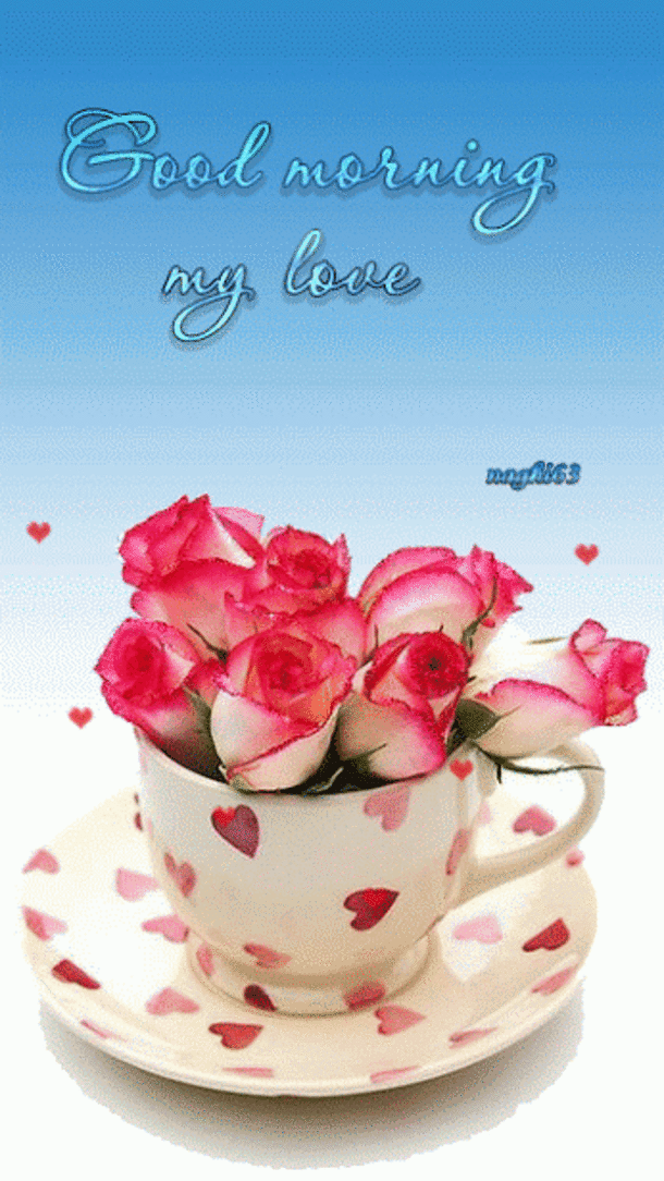 beautiful morning gifs search find make share gfycat gifs