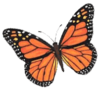 butterfly gardens indianapolis
