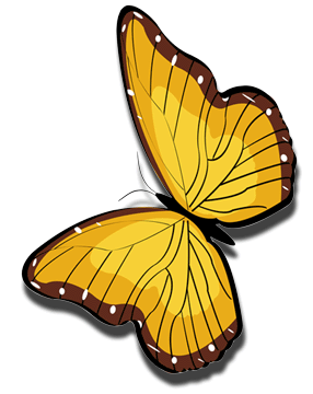 butterfly gif image art collection at best animations