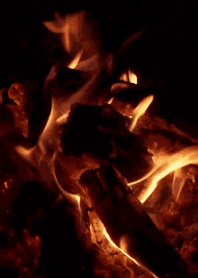 campfire gifs tenor