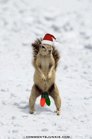 christmas comments merry christmas myspace comment graphics