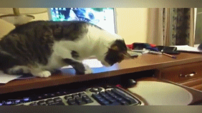 computer playing mouse gif on gifer by hugitus