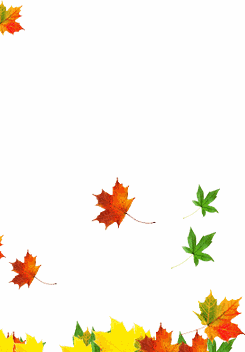 falling leaves effect ash princess kawaii