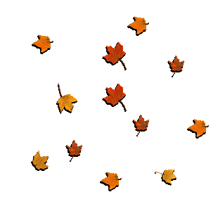 falling leaves gif transparent gif images download