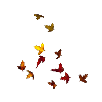 falling leaves gif transparent gif images download