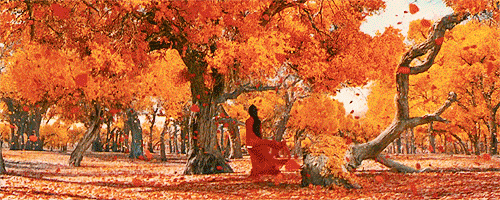 falling leaves gif tumblr