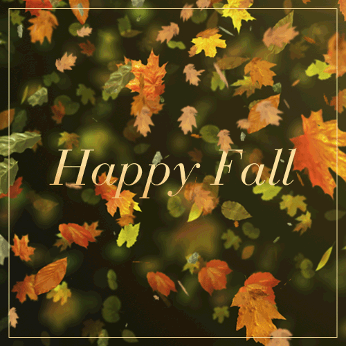 falling leaves gifs search find make share gfycat gifs