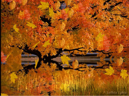 falling leaves pictures photos and images for facebook