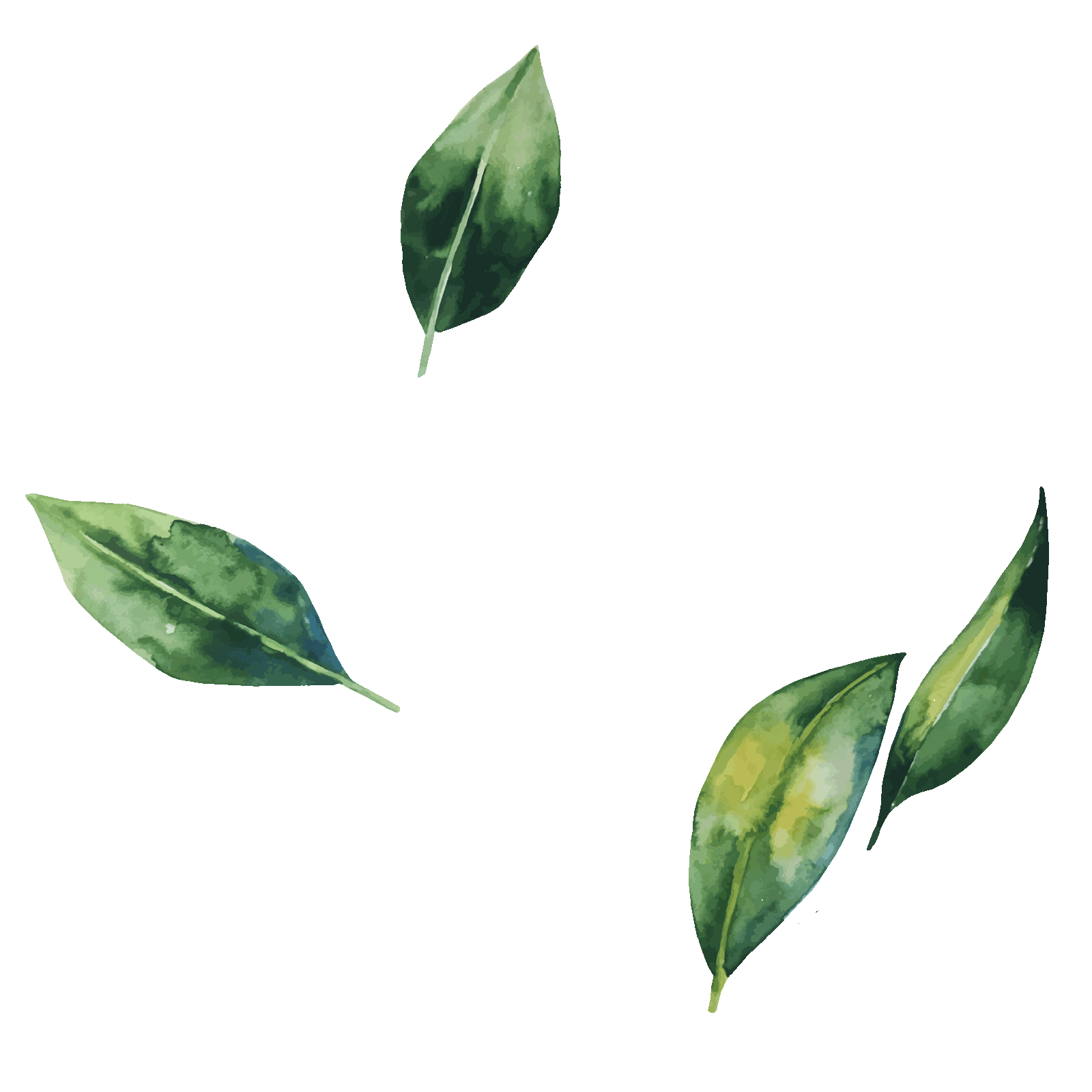falling leaves sticker by lloyd s inn for ios android