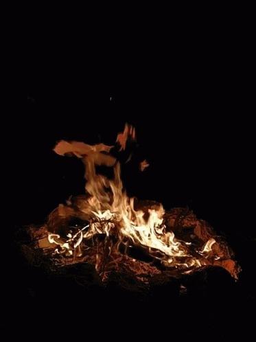 fire campfire gif fire campfire discover share gifs