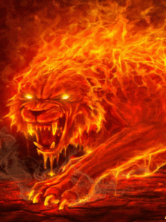 fire tiger tiger idk