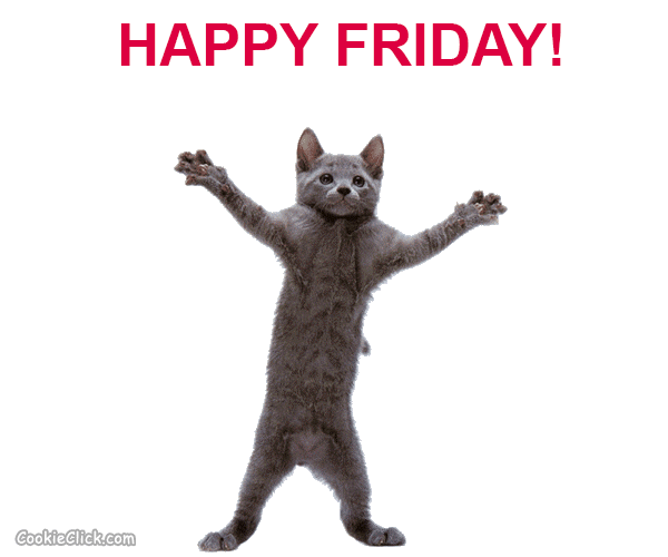 happy friday gif gif images download