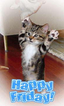 happy friday picture blingee com