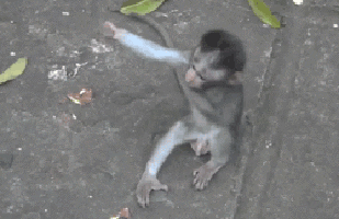 hug animated gif