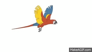 parrot flight cycle on make a gif