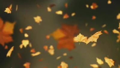 pauca verba the book of nature and the falling leaves