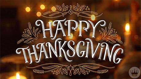 thanksgiving gifs find share on giphy