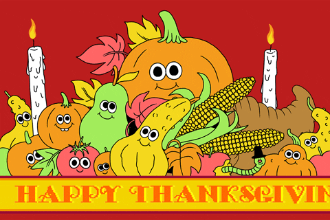 thanksgiving gifs find share on giphy
