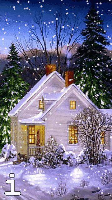 the christmas apprentice psychic flashes com