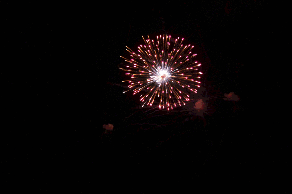 triogenius the science of fireworks