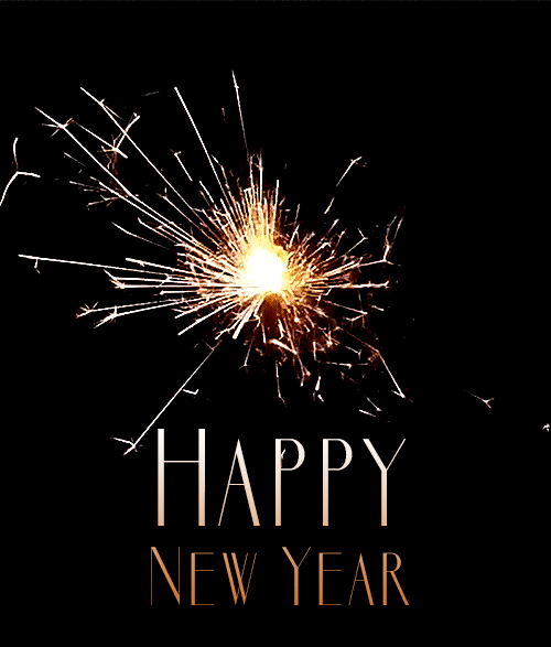 wish you a very happy new year journal edge