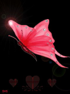 beautiful butterfly animated wallpaper