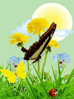 butterfly gif image by hanaa saksouk on